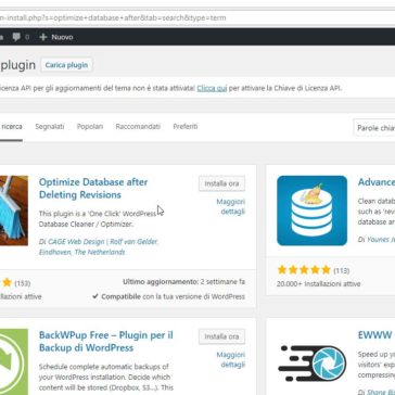 WordPress Revisioni come e perchè ridurle