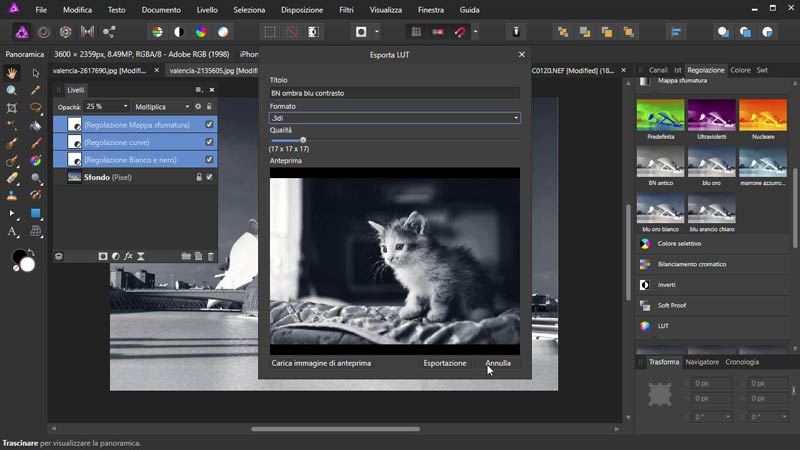 Affinity_Photo_Caricare_Creare_LUT_7