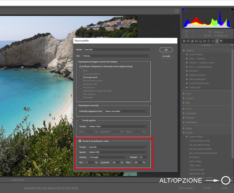 Creare-profili-personalizzati-in-Camera-Raw-2