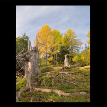 Aumentare la gamma dinamica di una foto in Photoshop