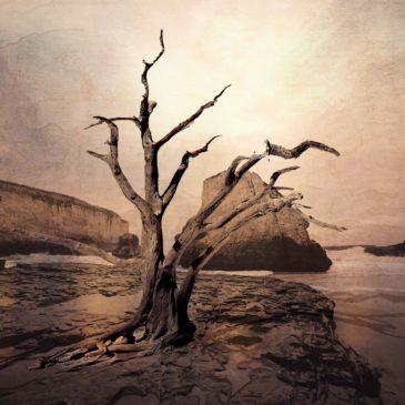 Strumento Altera in Photoshop CC 2020