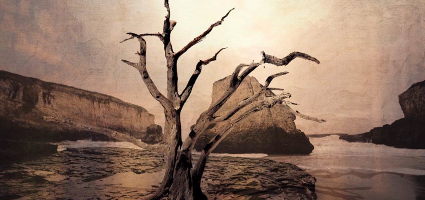 Strumento Altera in Photoshop CC 2020