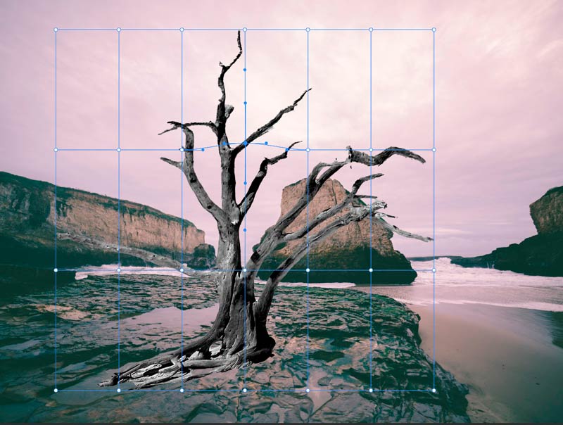 Strumento-Altera-in-Photoshop-CC-2020_1
