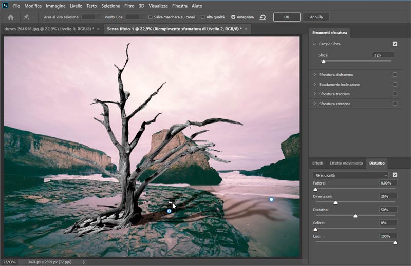 Strumento-Altera-in-Photoshop-CC-2020_5