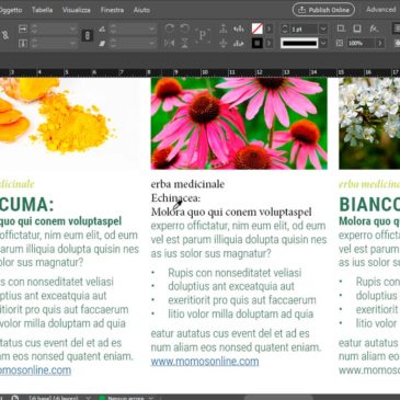 Formattare il testo con il contagocce in InDesign