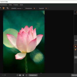 Scontorni perfetti con ON1 Photo Raw