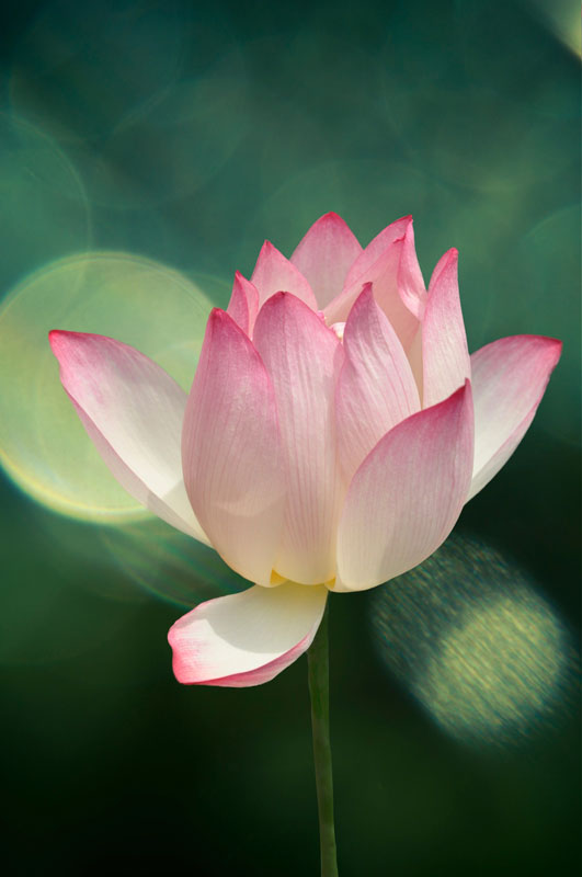 ON1-Photo-Raw-Scontorni-Perfetti_5