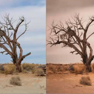 Editing avanzato in Lightroom grazie alle maschere di colore e di luminanza