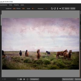 Gestire gli Extra in ON1 Photo RAW