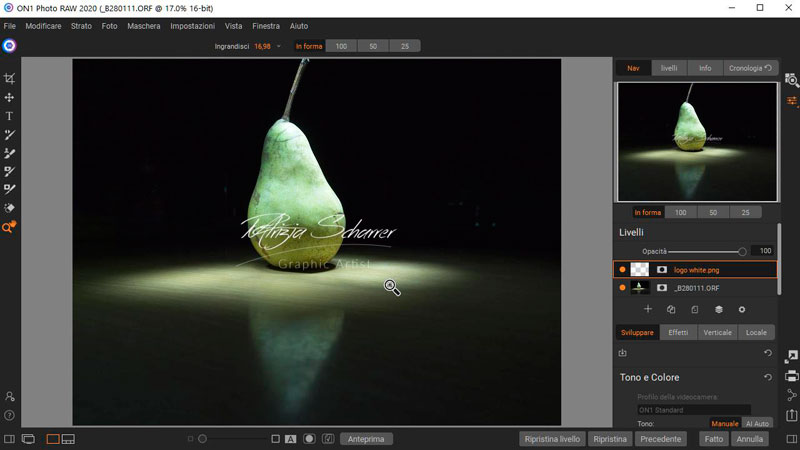 ON1 Photo RAW Watermark_1