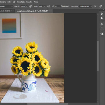 Eliminare le macchie in Photoshop