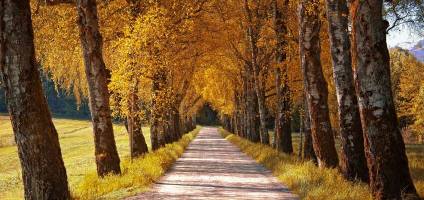 Creare i colori dell’autunno con Affinity Photo