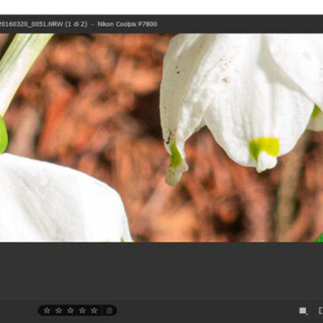Adobe Camera Raw Super Resolution