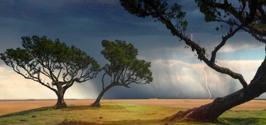 Photoshop Eliminare Aloni da Selezione