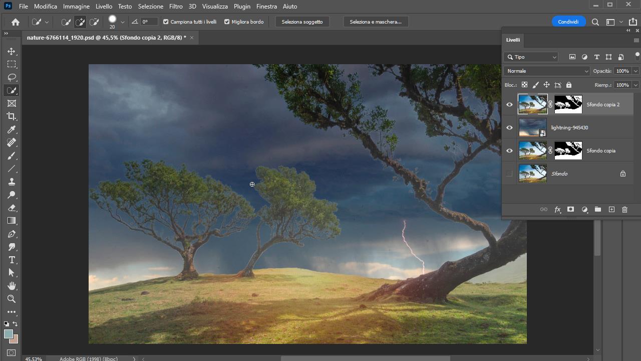 Photoshop Eliminare Aloni da Selezione_3