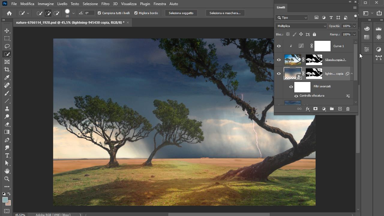 Photoshop Eliminare Aloni da Selezione_4
