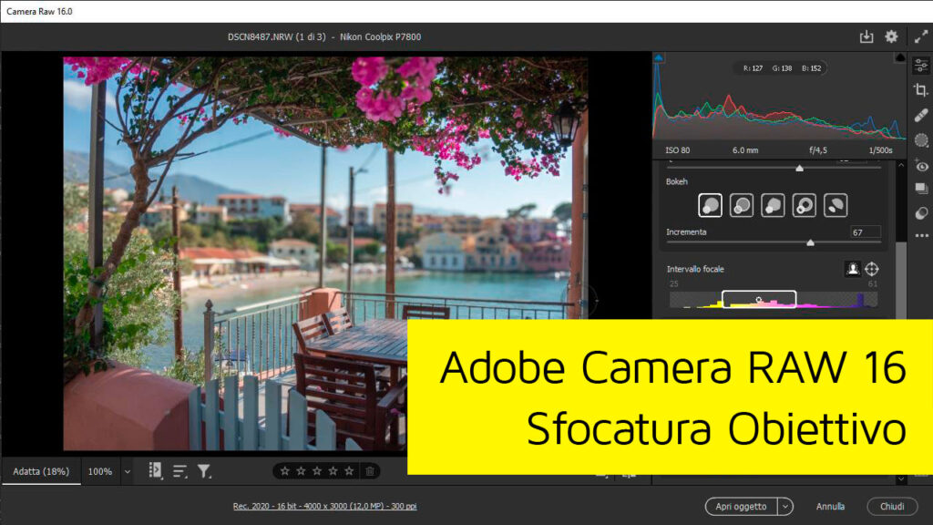 Adobe Camera Raw 16 Sfocatura Obiettivo