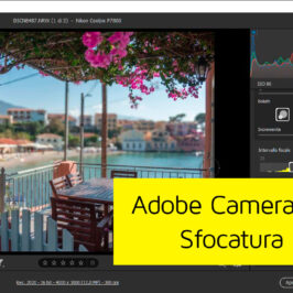 Adobe Camera RAW 16 Sfocatura Obiettivo