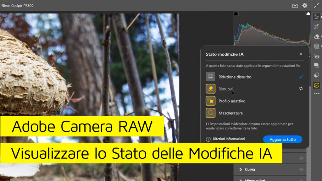 Adobe-Camera-RAW-Visualizzare-lo-Stato-delle-Modifiche-IA