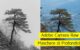 Adobe-Camera-Raw-Maschere-Profondita