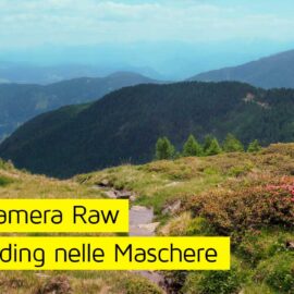 Adobe Camera Raw: Arriva il Color Grading nelle Maschere