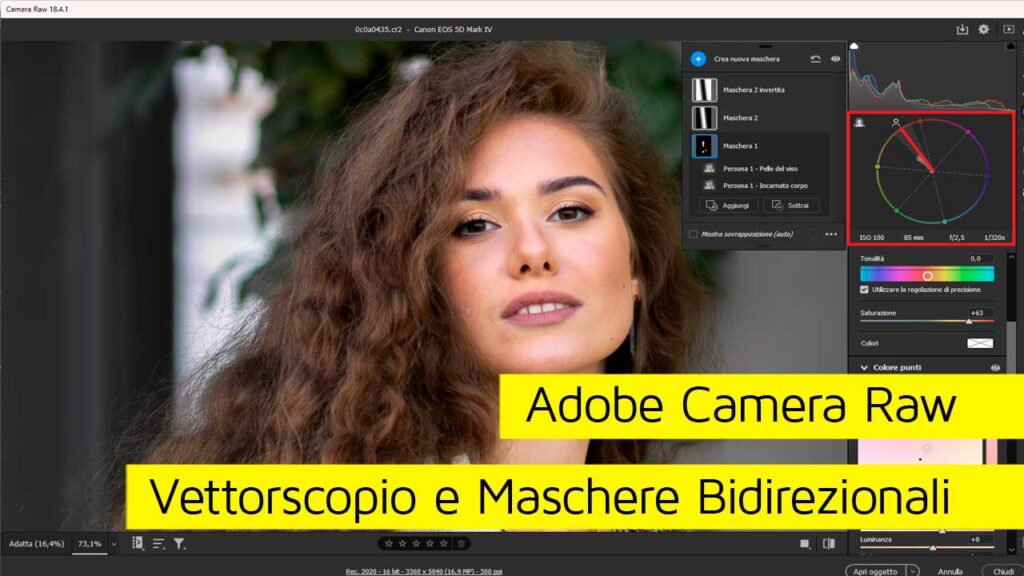Adobe-Camera-Raw-Vettorscopio