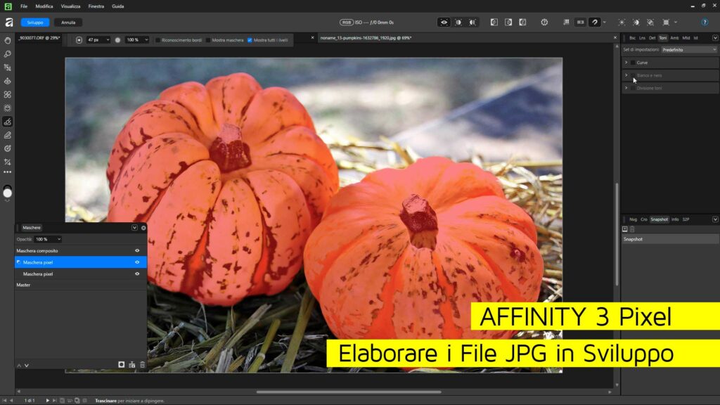 Affinity-Pixel-Elaborare-i-file-JPG-in-Sviluppo
