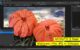 Affinity-Pixel-Elaborare-i-file-JPG-in-Sviluppo